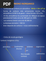 Carbono Inorganico