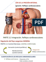 Reflejos Cardiovasculares