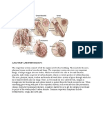 Anatomy and Physiology Copd