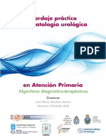 Dialnet AbordajePracticoDeLaPatologiaUrologicaEnAtencionPr 561654 PDF