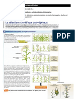 TD Plantes Domestiquc3a9es Eleves