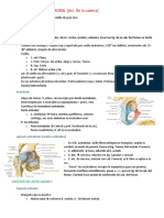 1.articulacion Coxofemoral