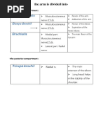 Bachelor Thesis - Amos