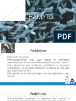 Chamyto