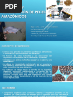 Curso Nutrición y Alimentación de Peces Amazónicos - CITEacuícola UPCH