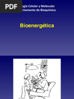 2 Bioenergetica Básico 1