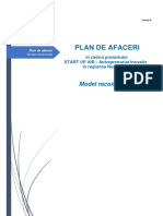 Anexa 8 Model Plan Afaceri