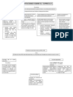 Mapas Conceptuales