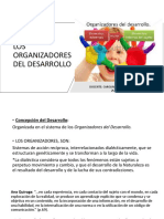 Organizadores Del Desarrollo