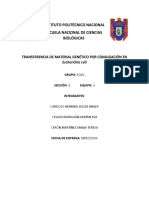 Transferencia de Material Genetico Por Conjugacion en Escherichia Coli 1