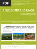 A Silvicultura No Brasil