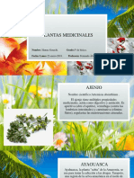 Plantas Medicinales