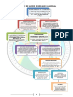 Esquema Proceso Laboral