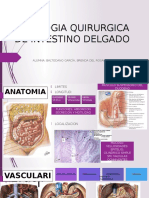 Patologia QX de Intestino Delgado