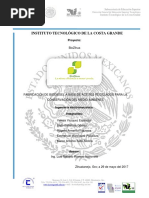 Biodiesel Zi Hua