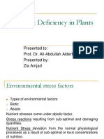 Nutrient Defficiency