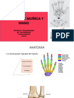 Mano, Traumatologia