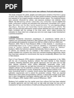 Documento A Traducir