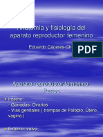 Anatomia y Fisiologia Del Aparato Rep