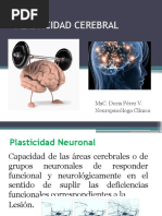 Plasticidad Cerebral