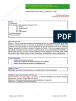 CLL-003-CL CONCHA Y TORO (Administración y Estrategia) PDF