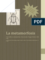 Revista Literaria La Metamorfosis PDF