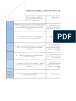 Matriz de Roles y Responsabilidades de La Empresa TNC