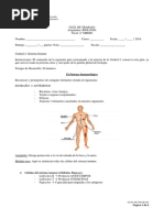 Guia Cuarto Medio