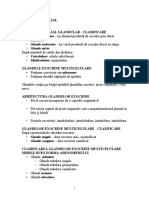 Lp2 Epitelial Glandular