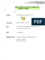 Plan de Trabajo Ajeprocesos 26-08-2018