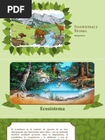 Ecosistemas y Biomas 1