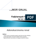 Tumor Ginjal