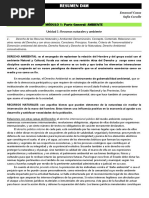 Derecho Penal Economico Resumen Completo