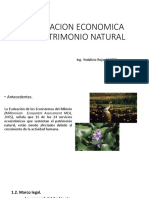 Valoracion Economica Del Patrimonio Natural