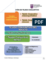 Clasificación de Tejido Conjuntivo