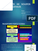 Transporte de Solutos en Los Vegetales-1