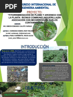 Fitorremediación de Plomo y Arcenico Con La Planta Ricinus Communis