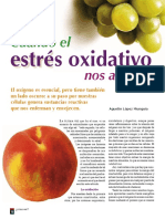 Cuando El Estres Oxidativo Nos Alcance