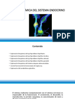 Bioquímica Del Sistema Endocrino