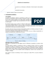 Informe Límites de Consistencia