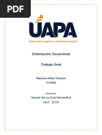 Orientacion Vocacional - Trabajo Final