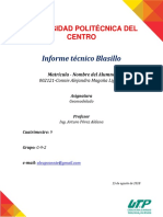 Informe Tecnico Blasillo