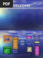 HRD Flow Chart Pps 398