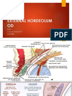 External Hordeolum OD: Oleh: A.A.A Lie Lhianna M.P H1A013001