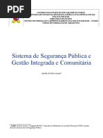 1 - Sistema de Segurança Pública e Gestão Integrada e Comunitária - Janildo Da Silva Arante