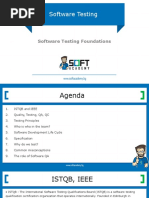 Software Testing