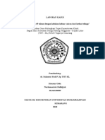 Lapsus Mastoiditis Duplex