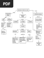 Mapa Conceptual Epistemologia