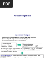 Gluconeogenesis 1