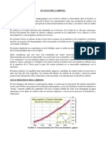 Informe Ciclo Del Carbono